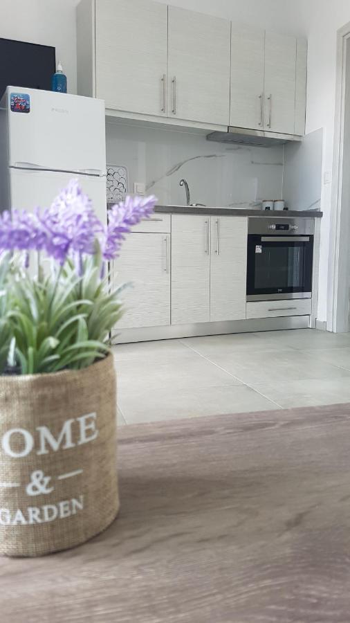 Erika Boutique Apartments Nikiti  Bagian luar foto